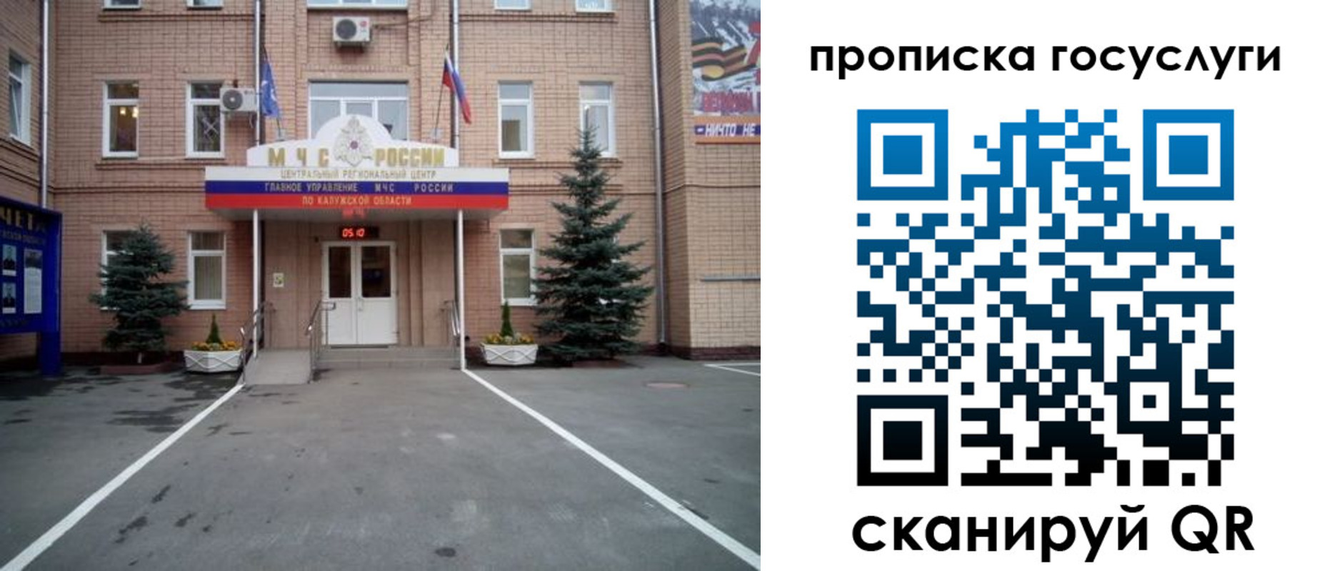 временная регистрация купить в Светлом