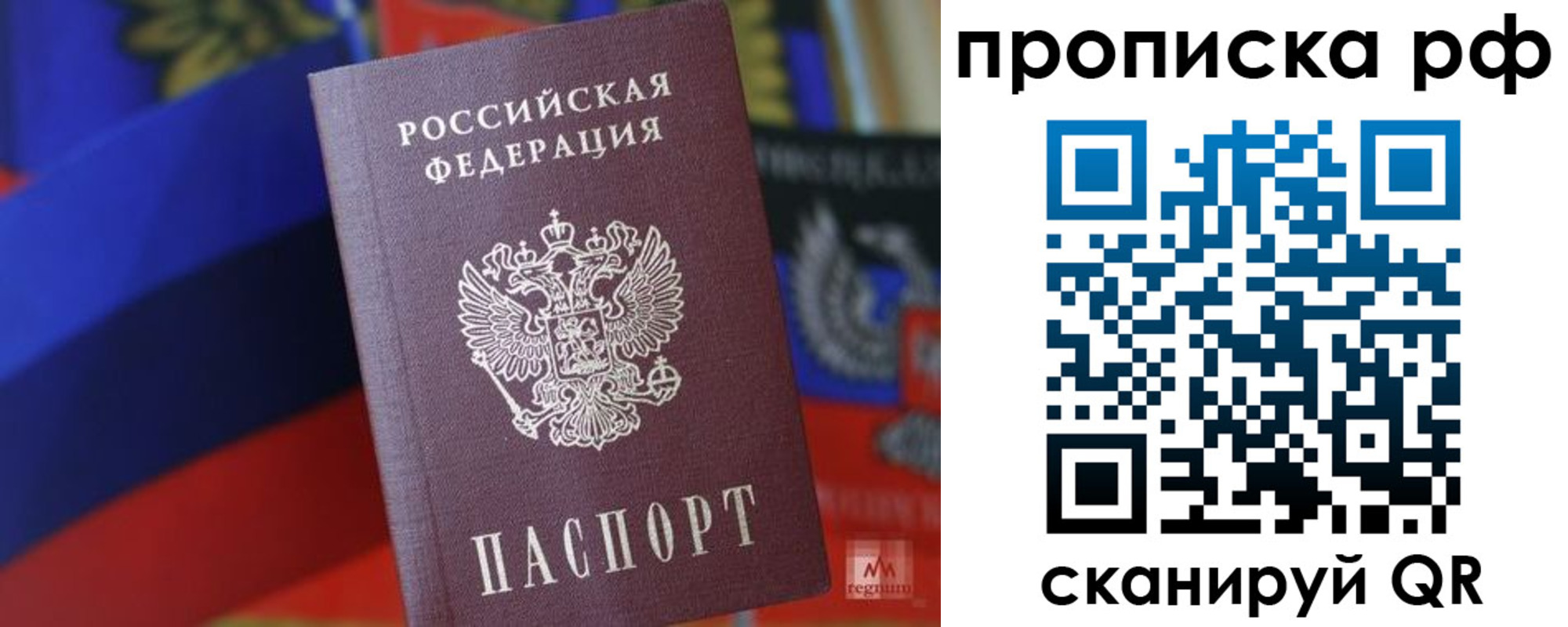 временная регистрация надежно в Светлом